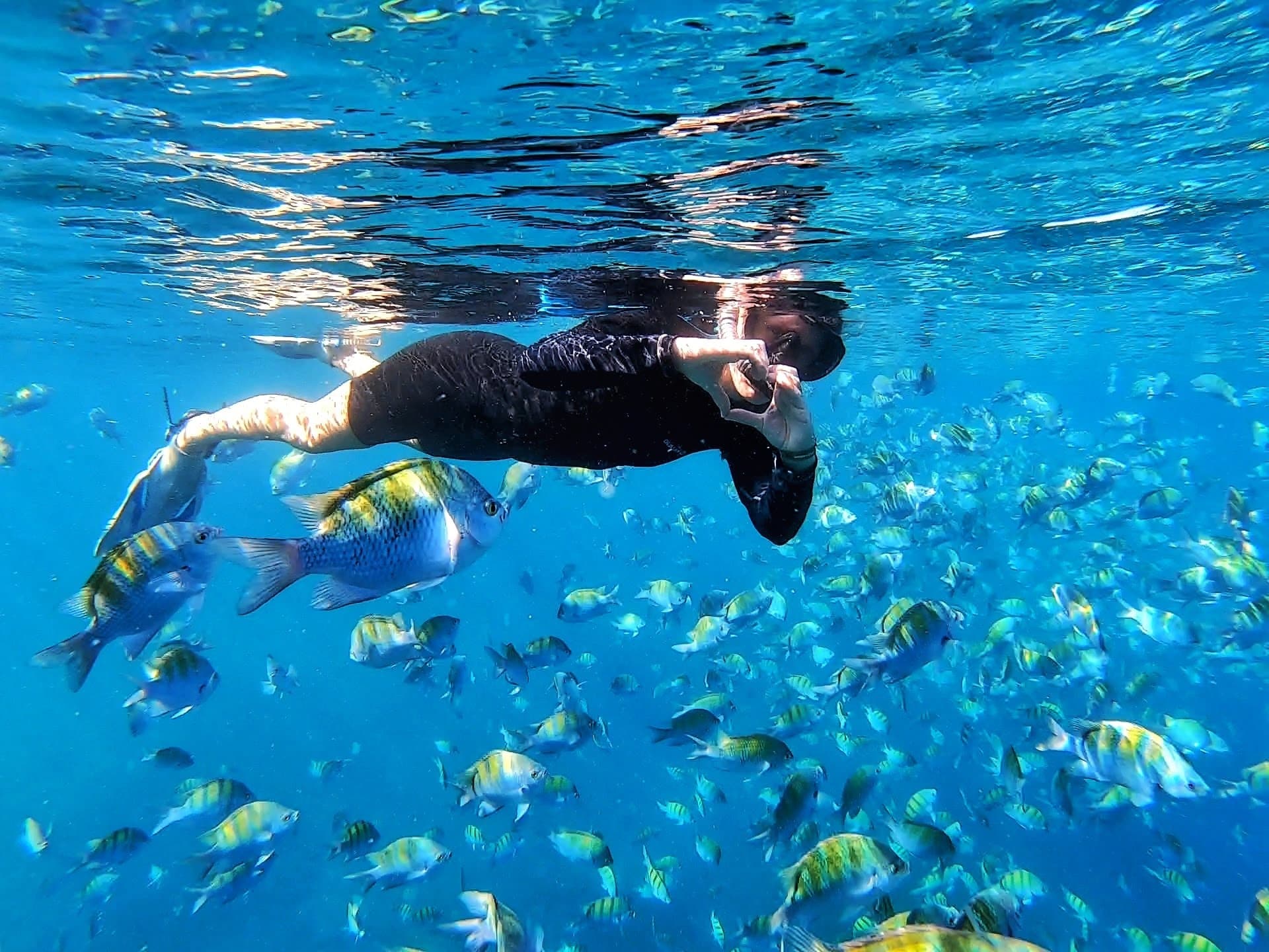 Explore San Rafaelito Island: Snorkeling with Sea Lions and Kayaking Adventures Near La Paz