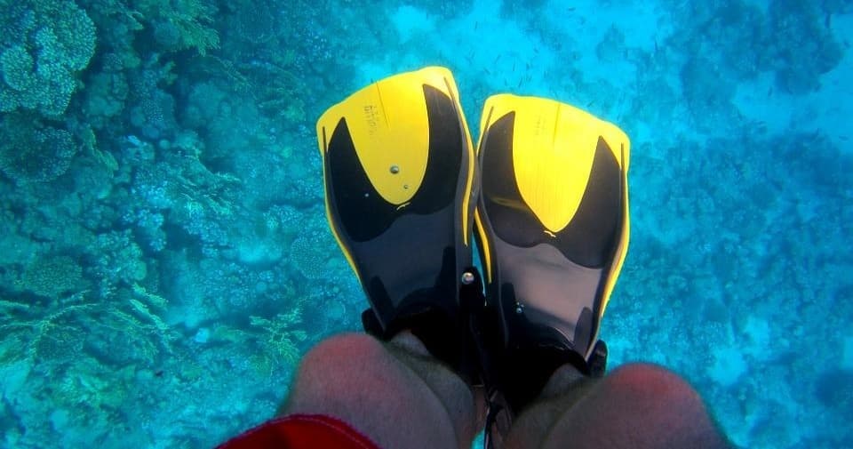 Flossen Diving Adventures with Tauchbasis Zwenkauer See