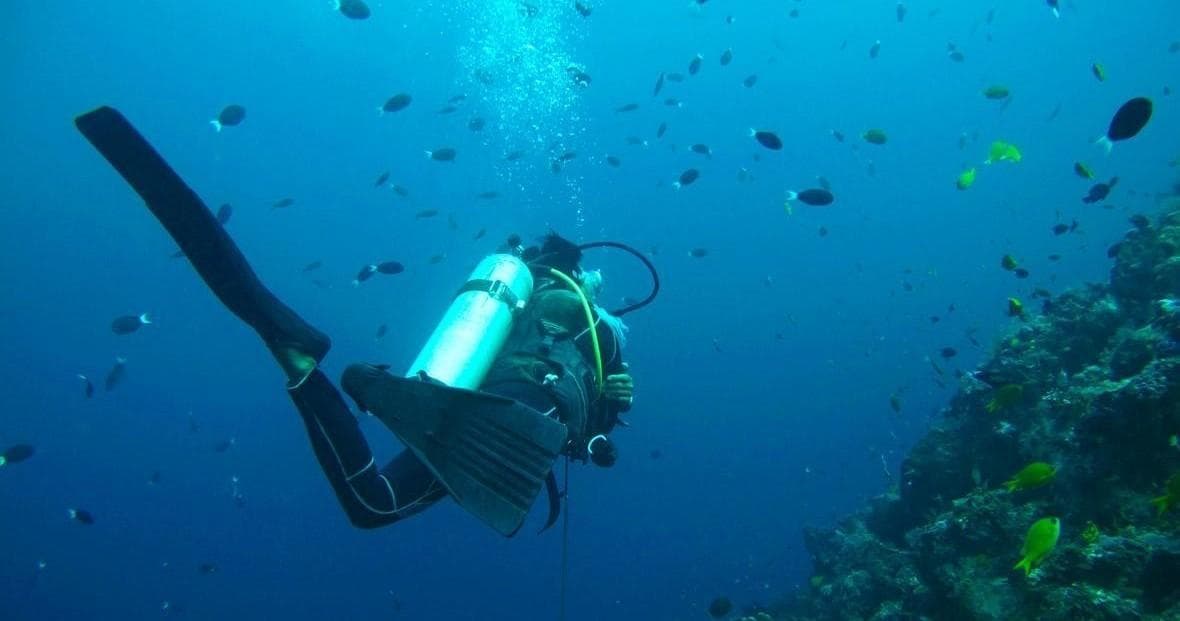 Discover Scuba Diving with Estigo Tours in Puerto Vallarta