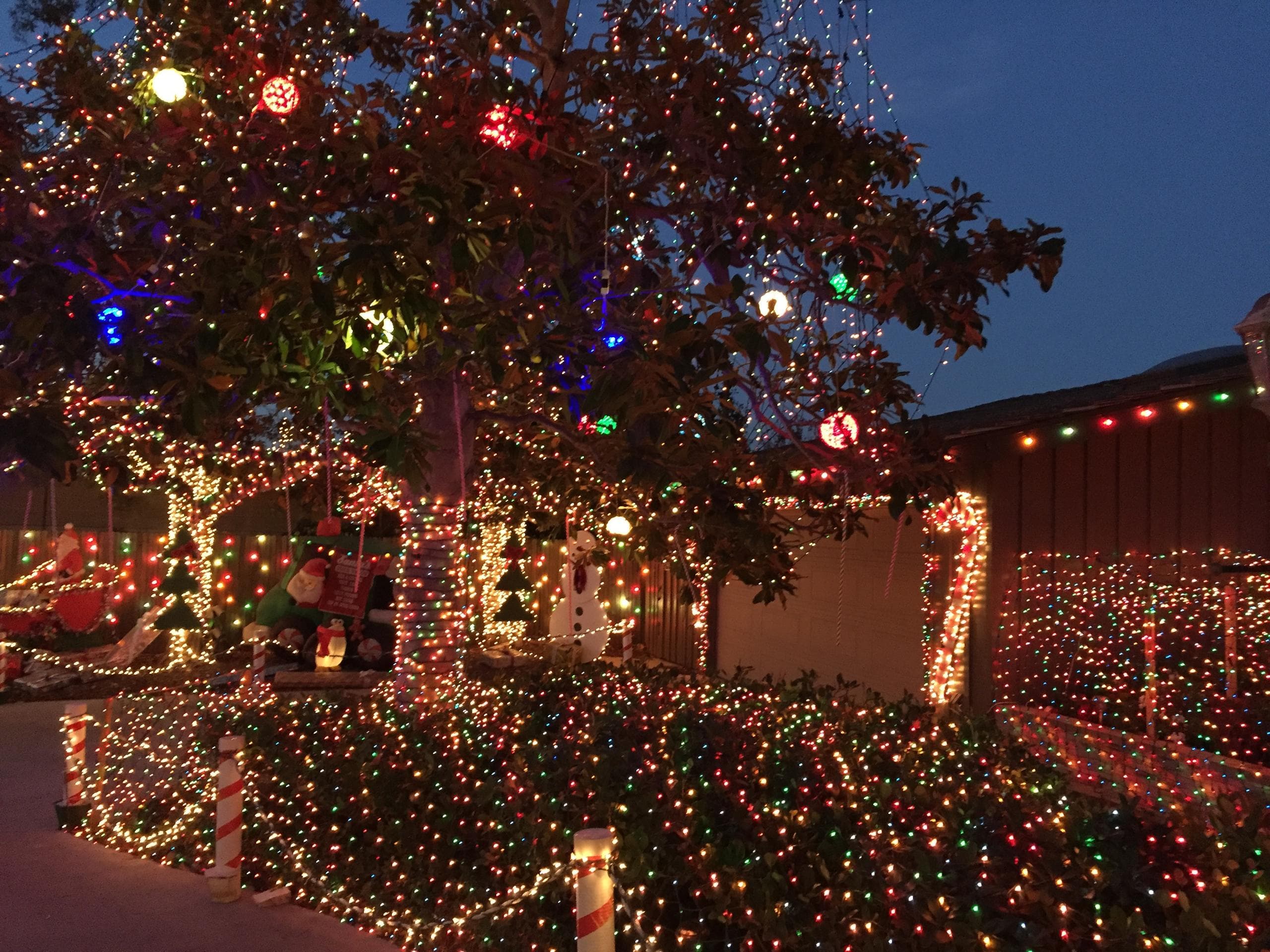 Magical Holiday Lights Tour in San Diego, CA