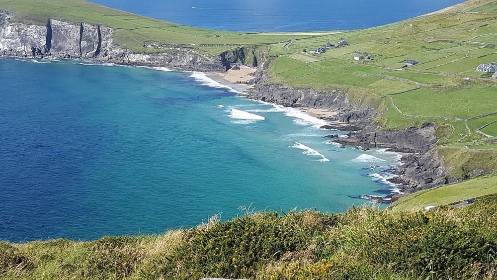 Dingle Luxury Tours fleet