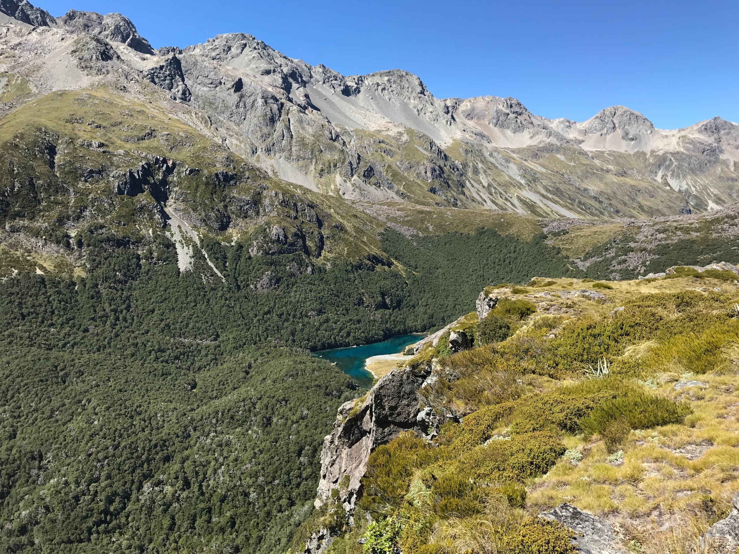 Land Adventures with Helical Nelson in Top of the South