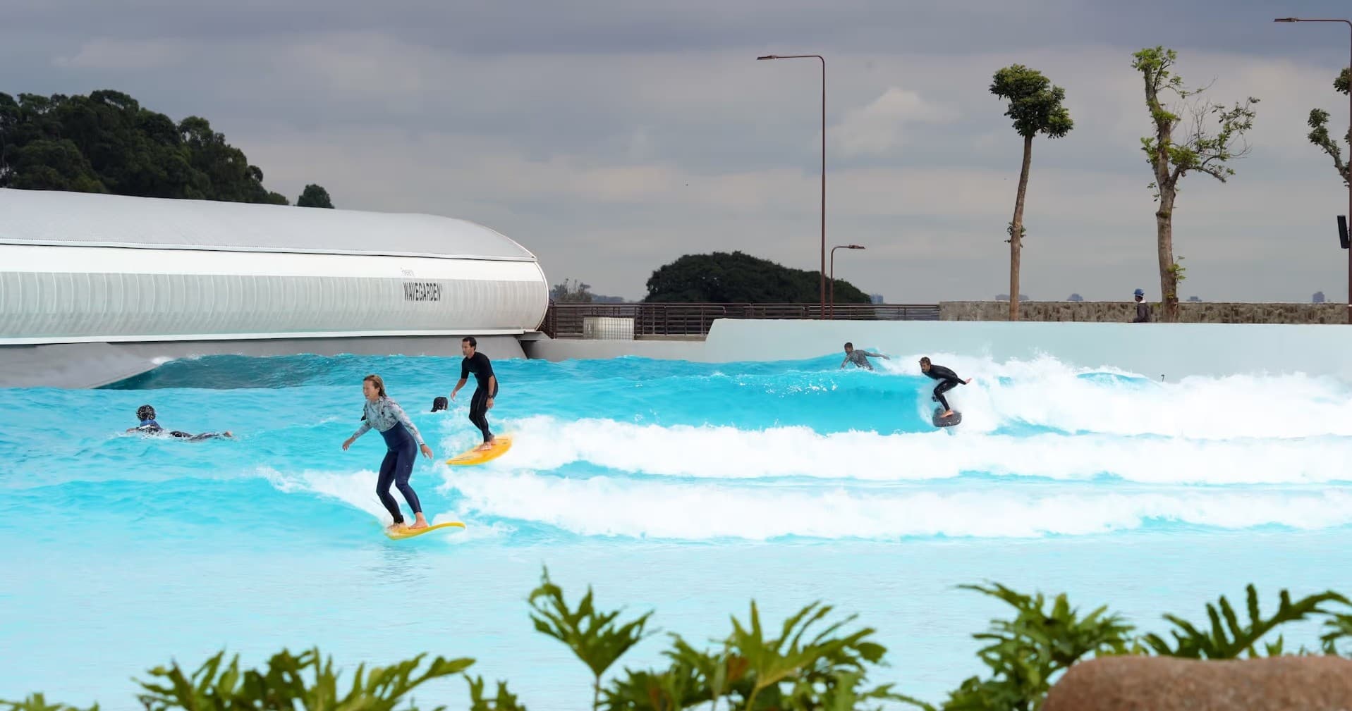The Bays: 30-Minute Beginner Bay Waves at dsrtsurf