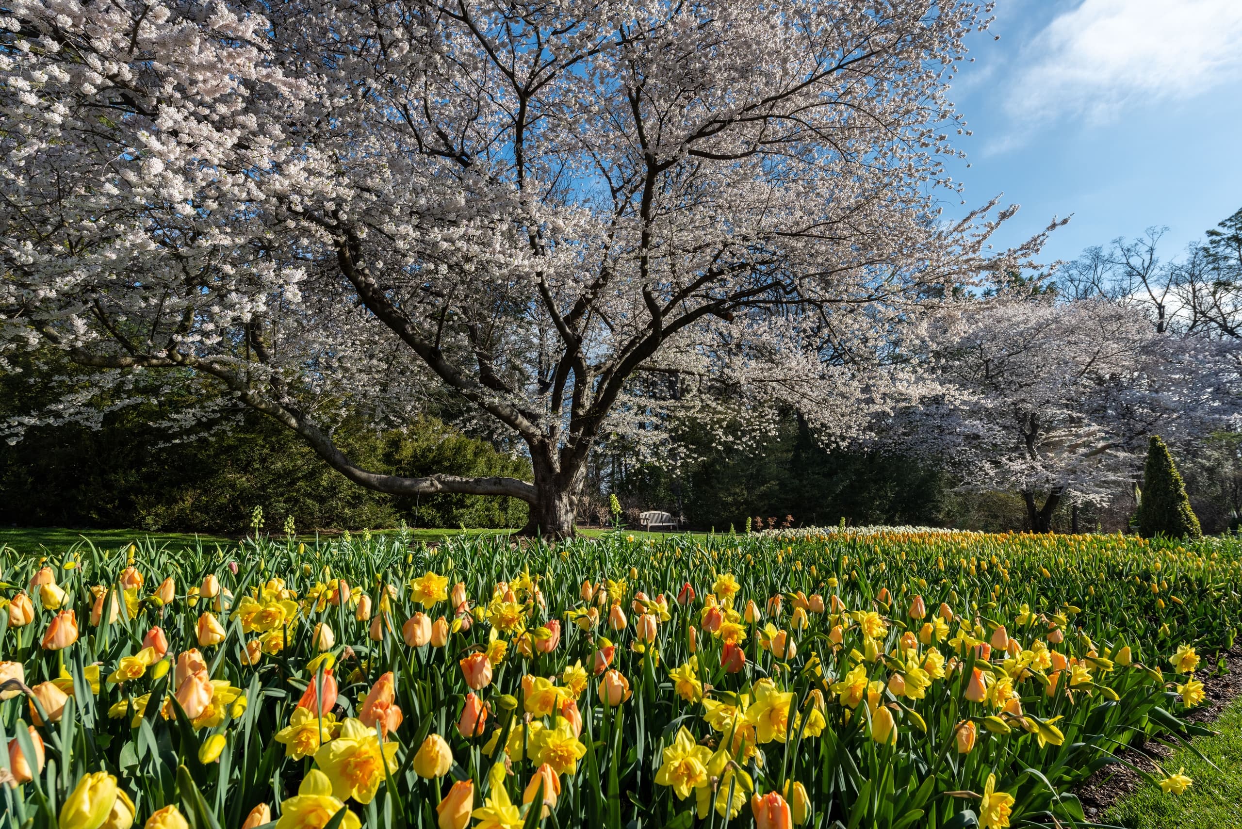 Brandywine Valley & Longwood Gardens Private Driving Tour