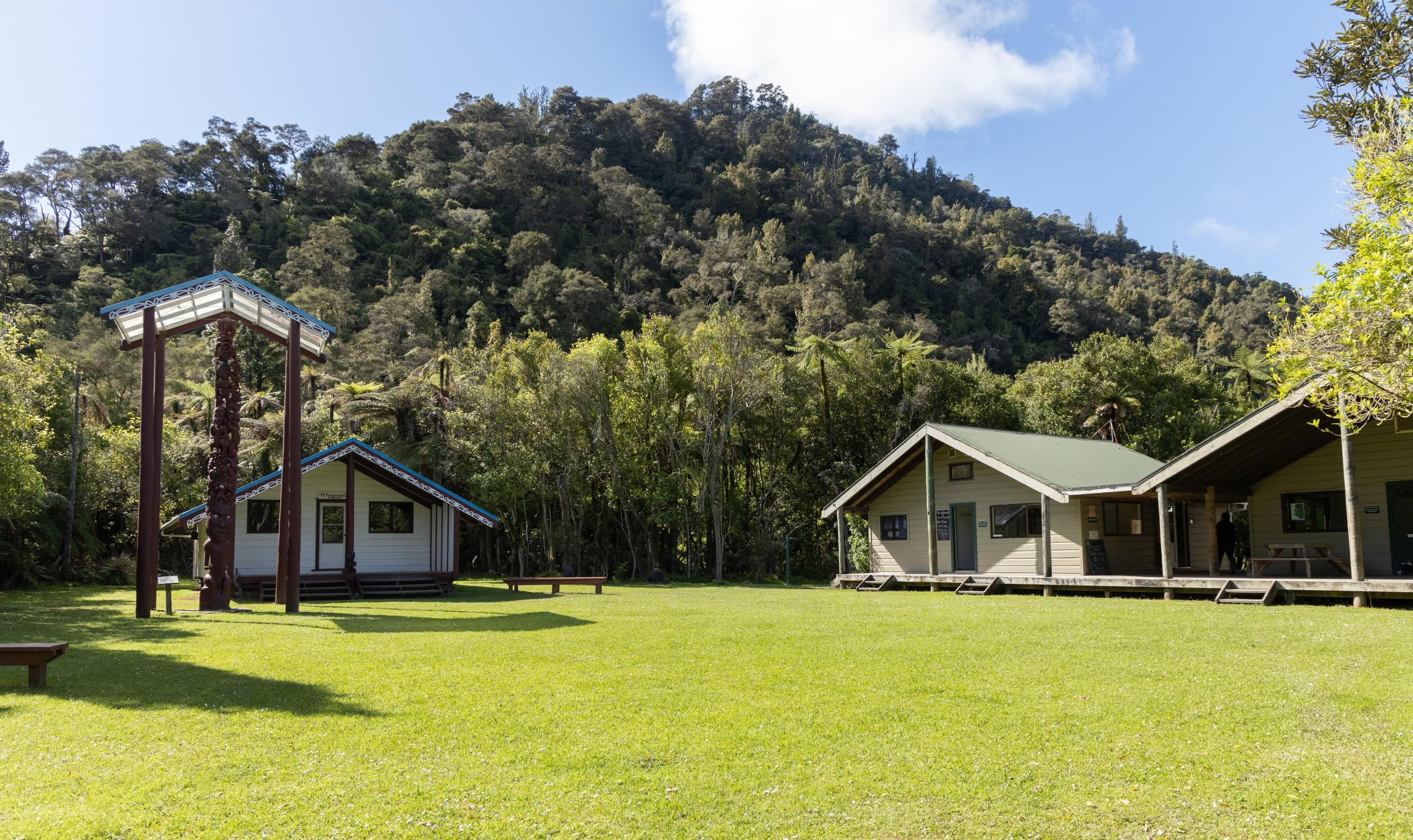 5-Day Canoe Journey on Whanganui River with Owhango Adventures