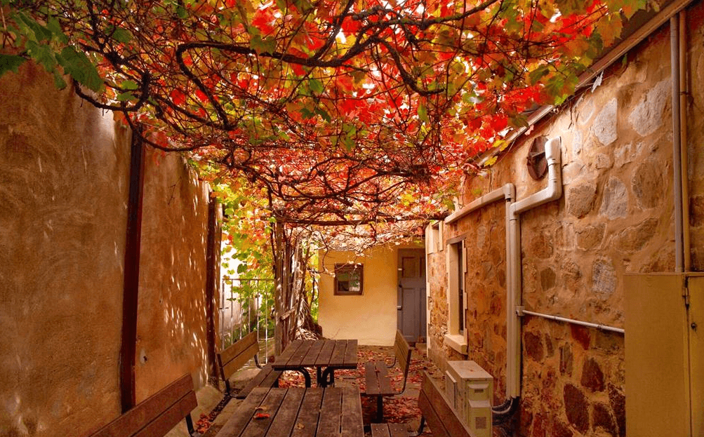 Hahndorf Strassendorf Walking Tour | Walking Tour in Hahndorf | 
