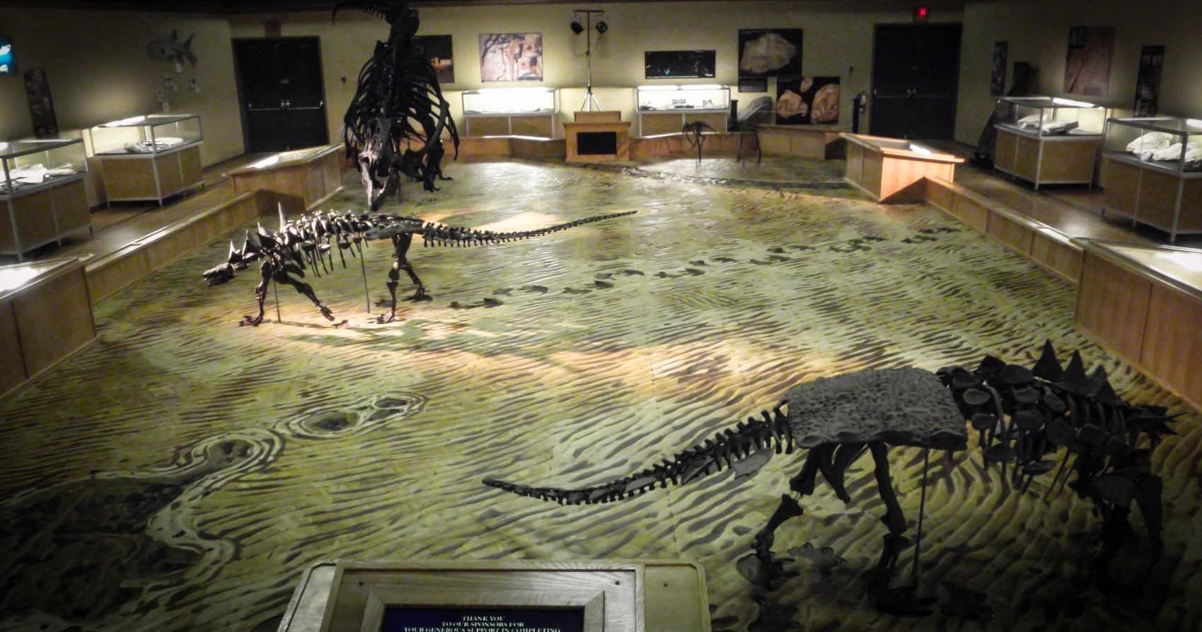 Discover the Fossil History at Tumbler Ridge Museum Foundation