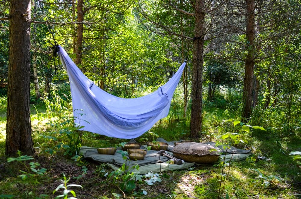 Land Adventures with Sointumetsä Oy in Finland