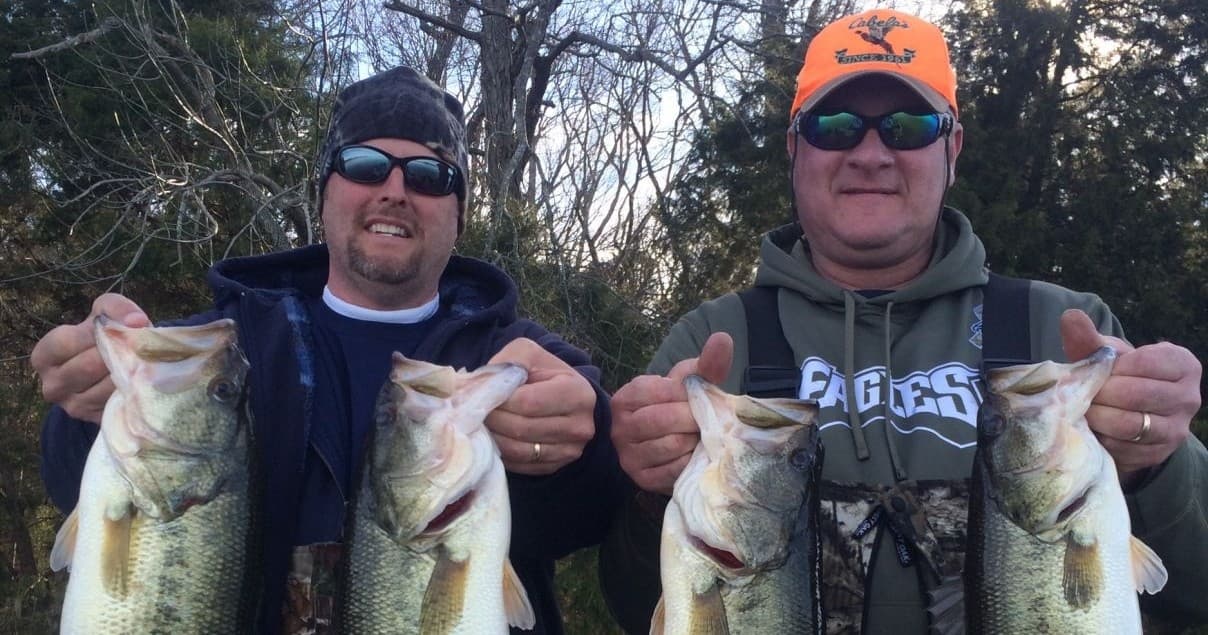 Trophy Bass Lessons on Lake Guntersville: Full-Day Guided Fishing from Horton
