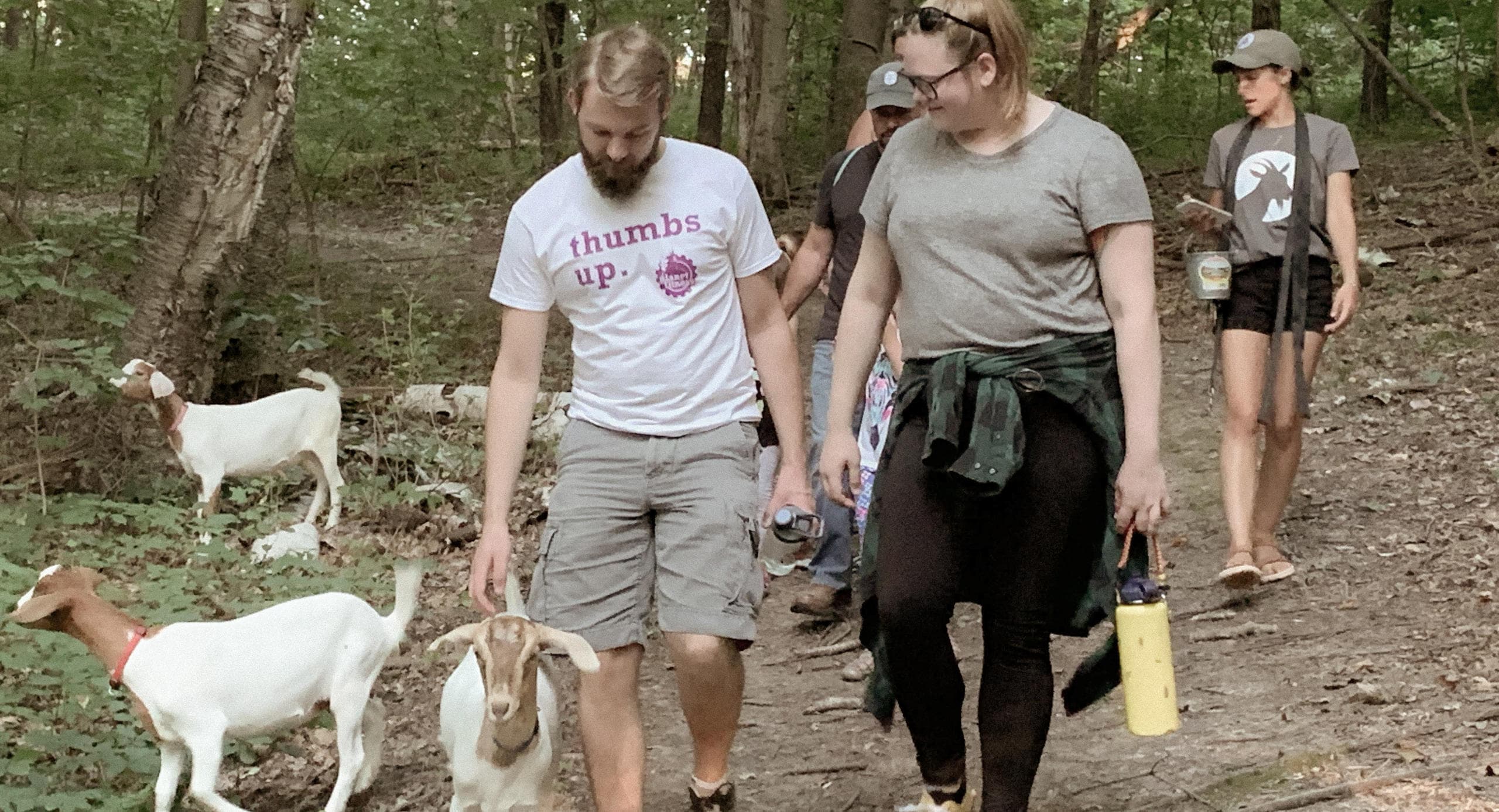 Group walking goats on wooded trail during outdoor hike