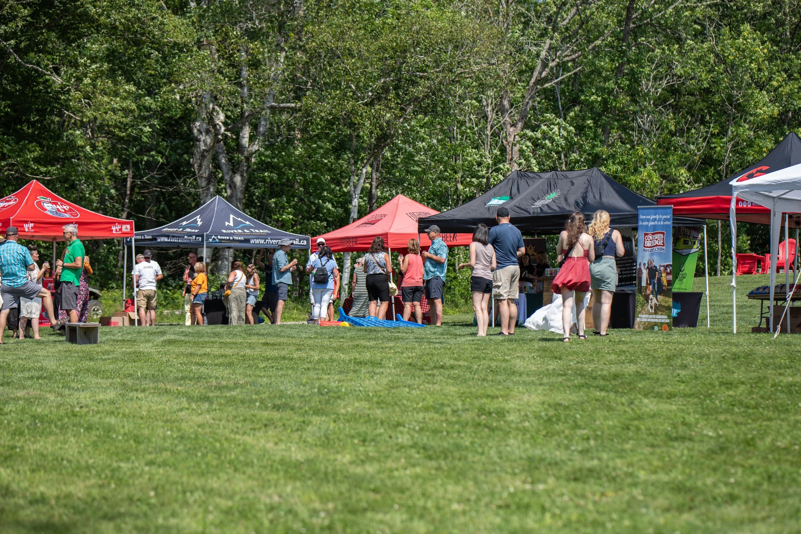 Yip Fest 2026: Riverside Cider & Beer Festival at Yip Cider on Kingston Peninsula photo 1