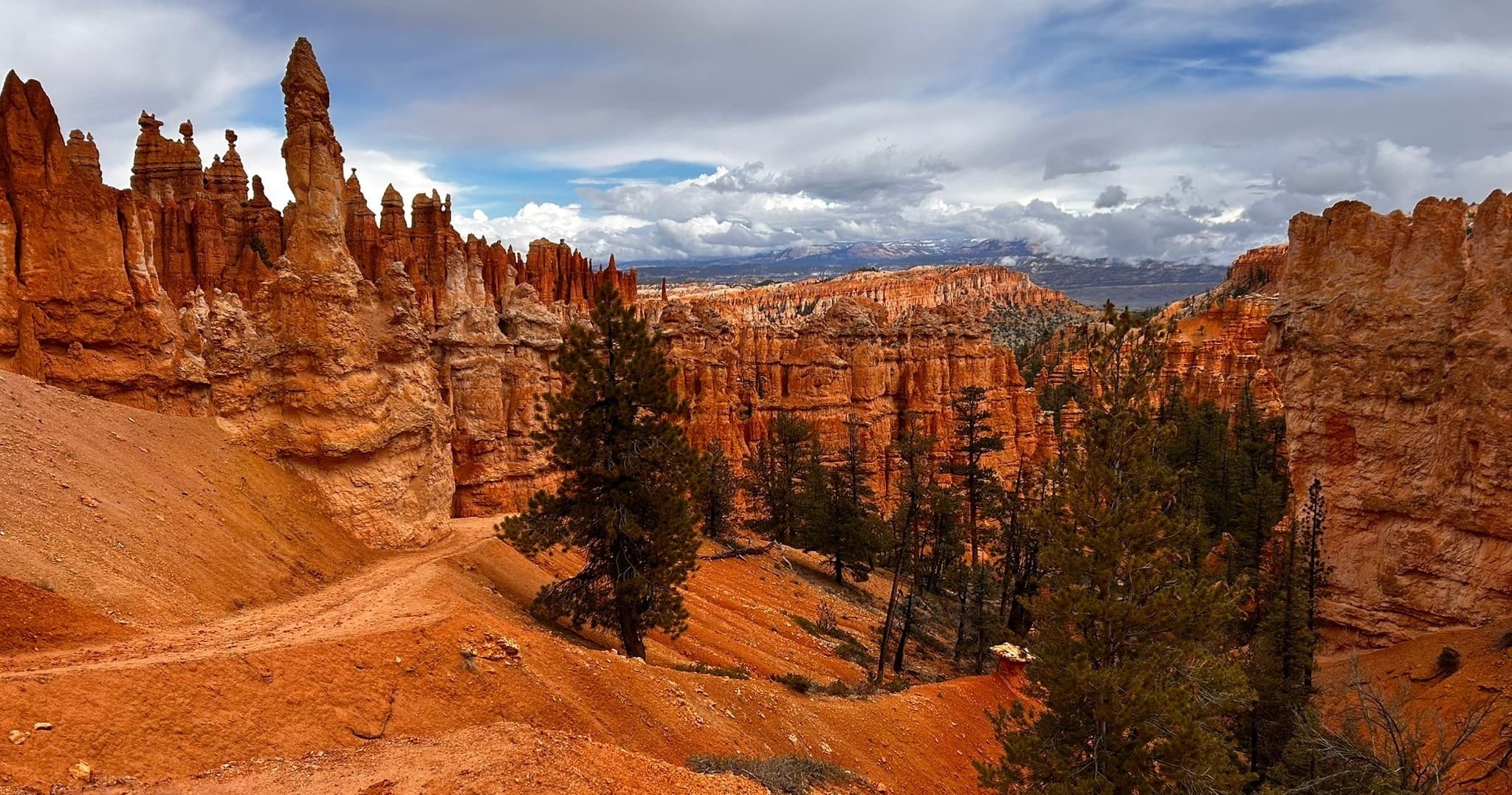 Half-Day Bryce Hike and Drive Tour from Springdale — Easy Trails, Hoodoos & Panoramas
