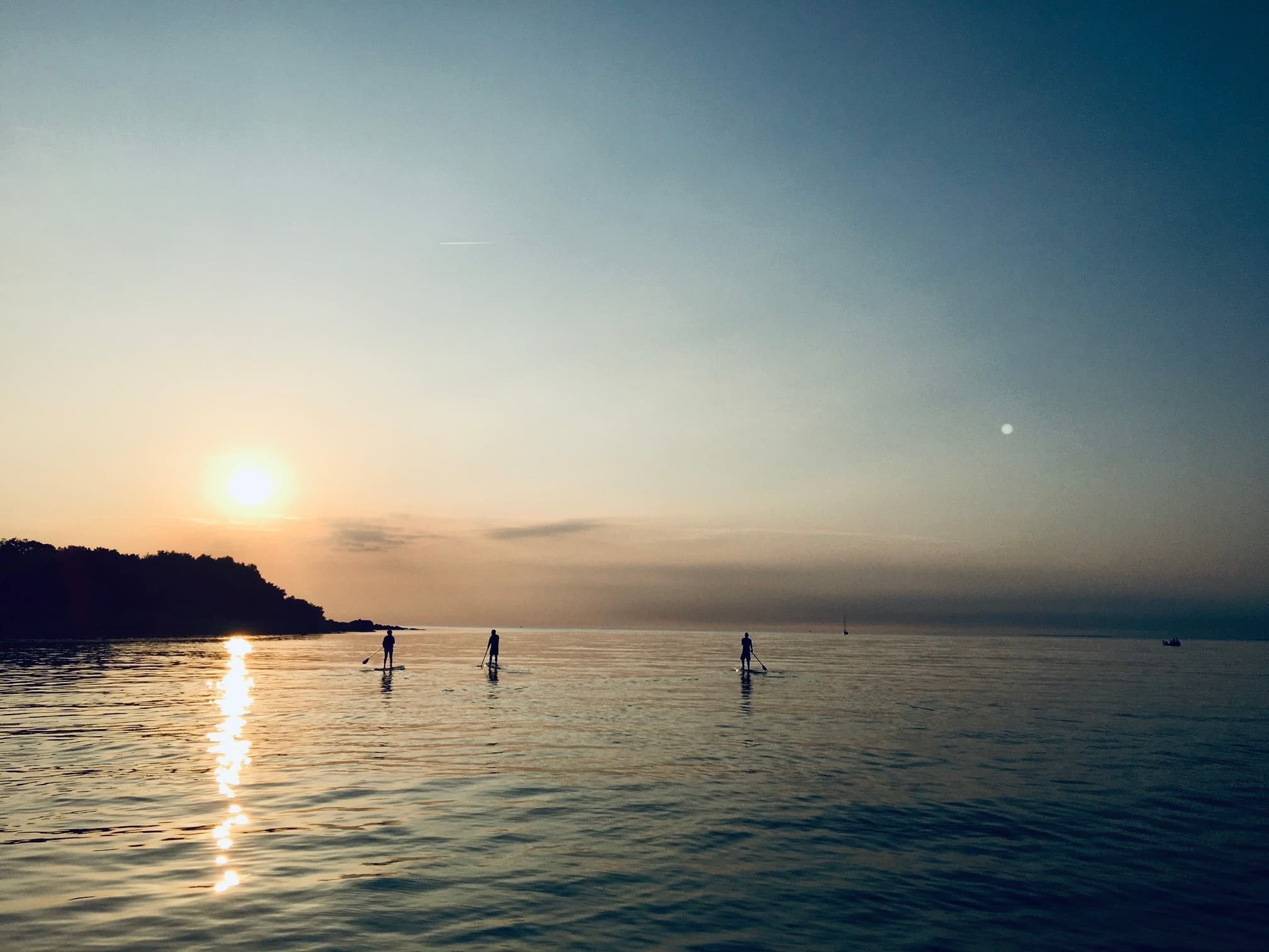 Stand-Up Paddleboarding Kullaberg: Guided SUP Tour from Arild