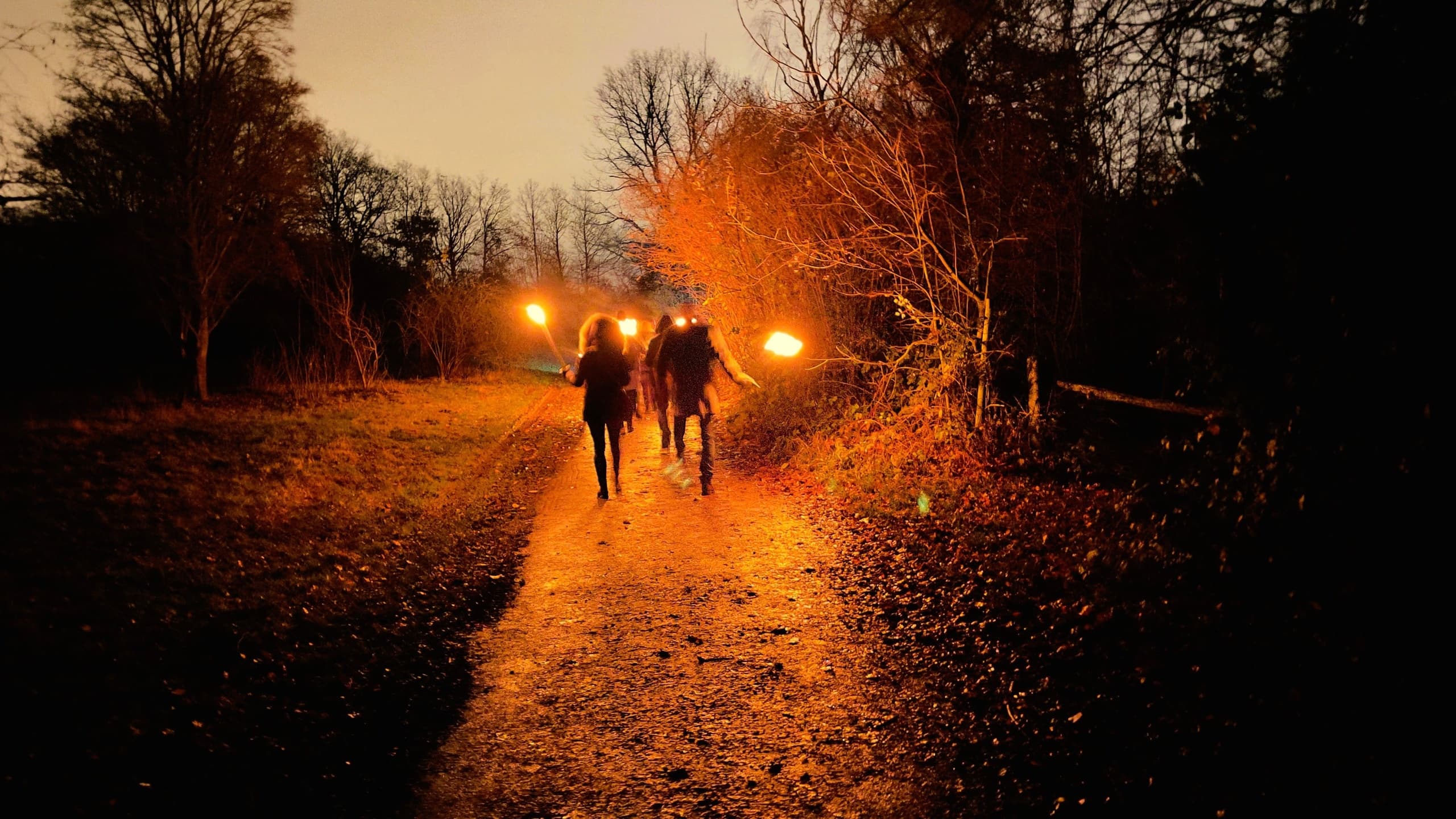 Torchlit Mulled Wine Walk with cult-touren in Frankfurt