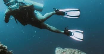 Off Shore Dive Trip — 2-Tank Wreck Dives at the 20 Mile Range