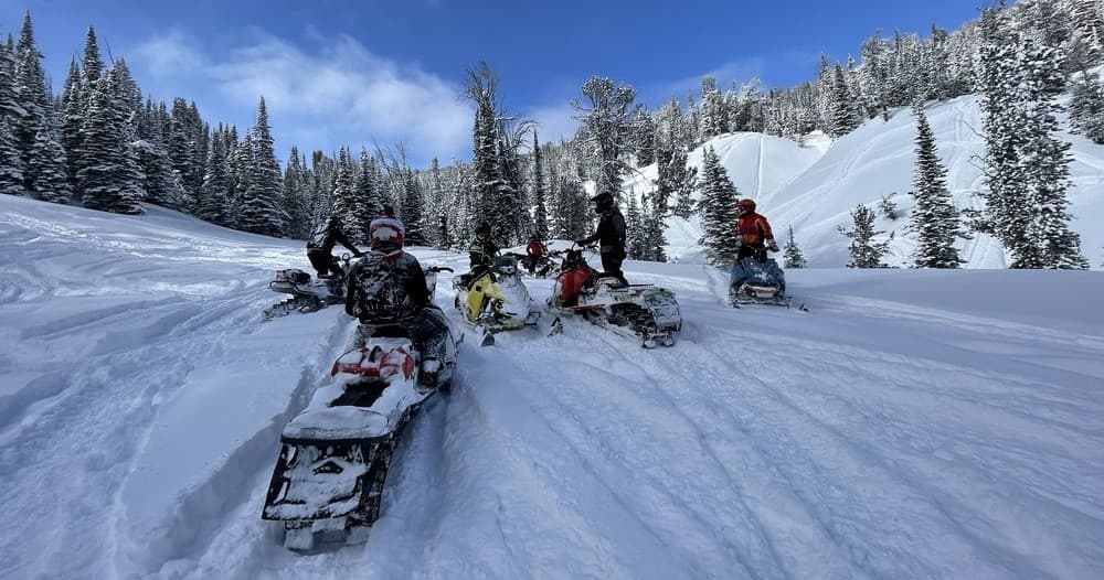 Snowmobile riders traversing deep powder through Beartooth alpine trees