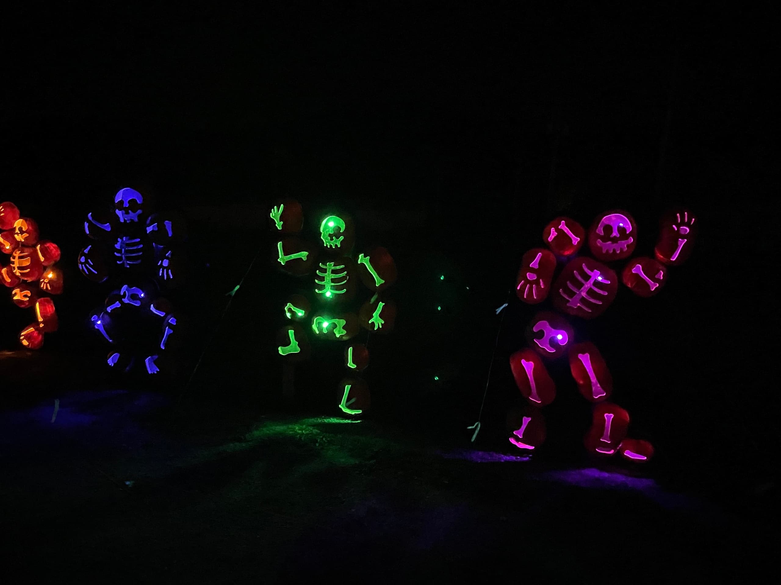 Fall Family Adventure at Pumpkins Aglow by Shepherd of the Hills
