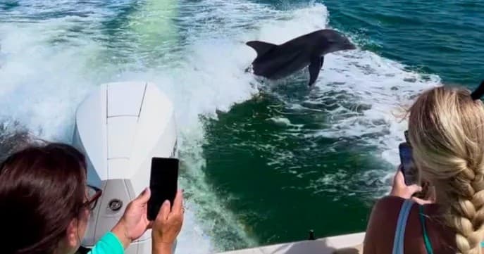 Private Dolphin & Shelling Adventure with Sòl Charters in Goodland