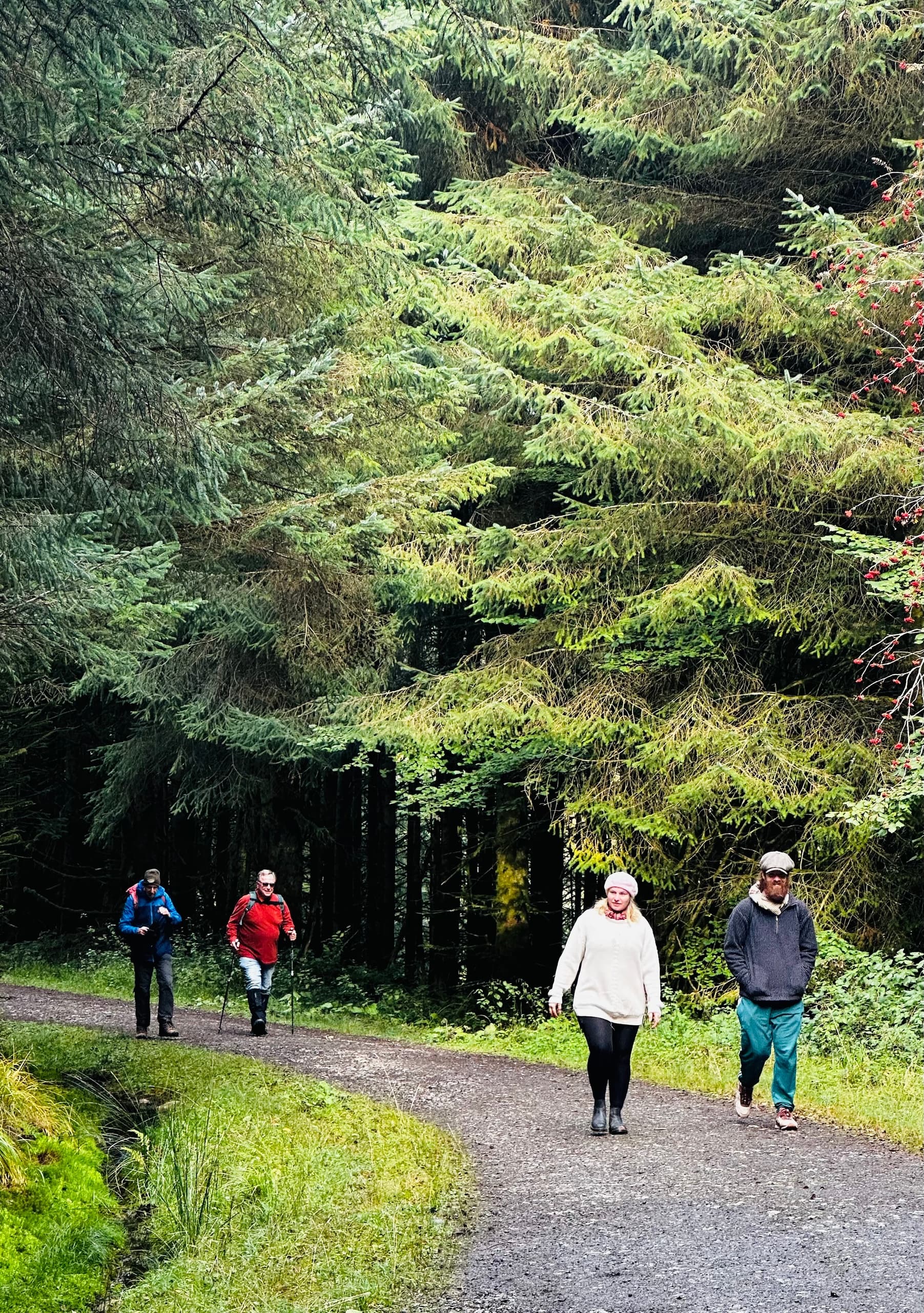 Scenic Train & Guided Walk through Reservoirs and Forests in the Brecon Beacons photo 2