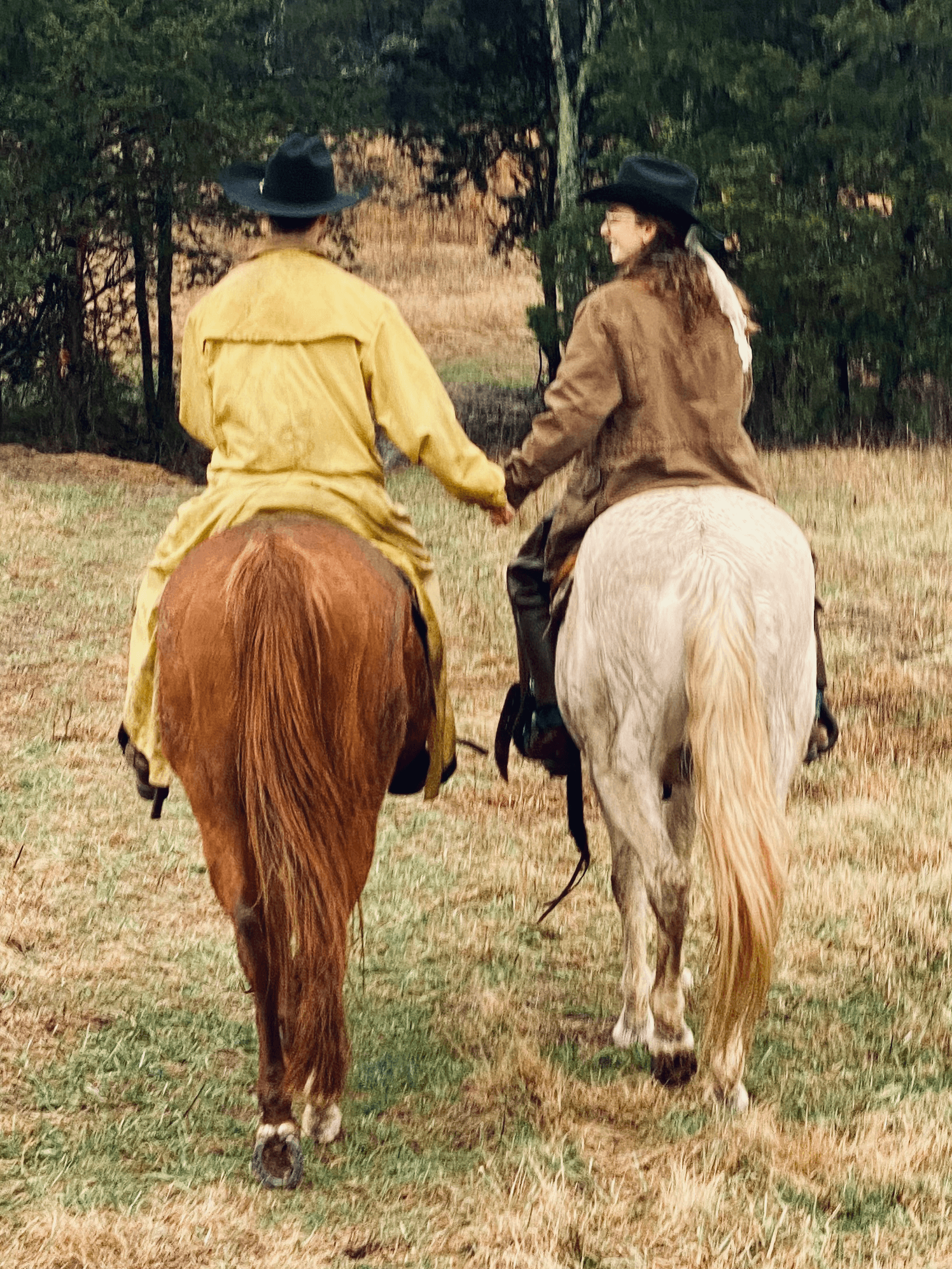 A Tennesee Dude & Guest Ranch fleet