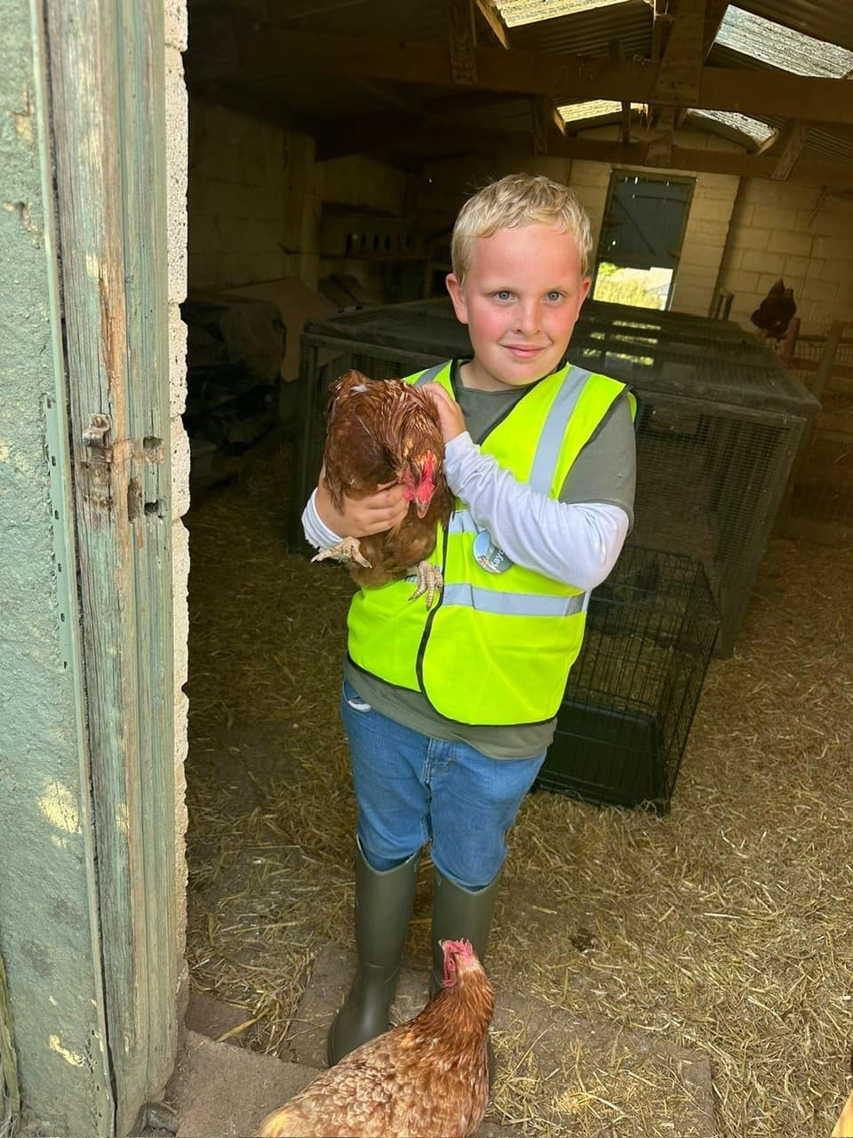 Saturday Animal Care Club at Frampton Organic Farm