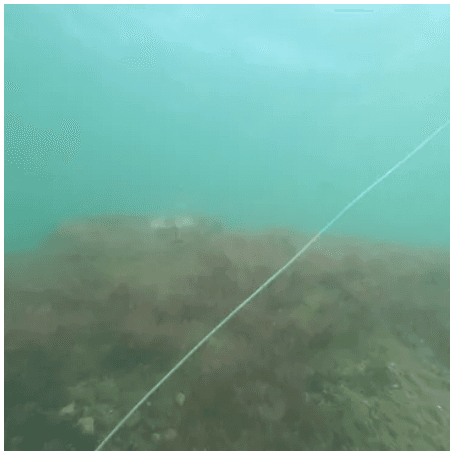 Master The Depths: Open Water Scuba Class Combo in Norfolk, Virginia