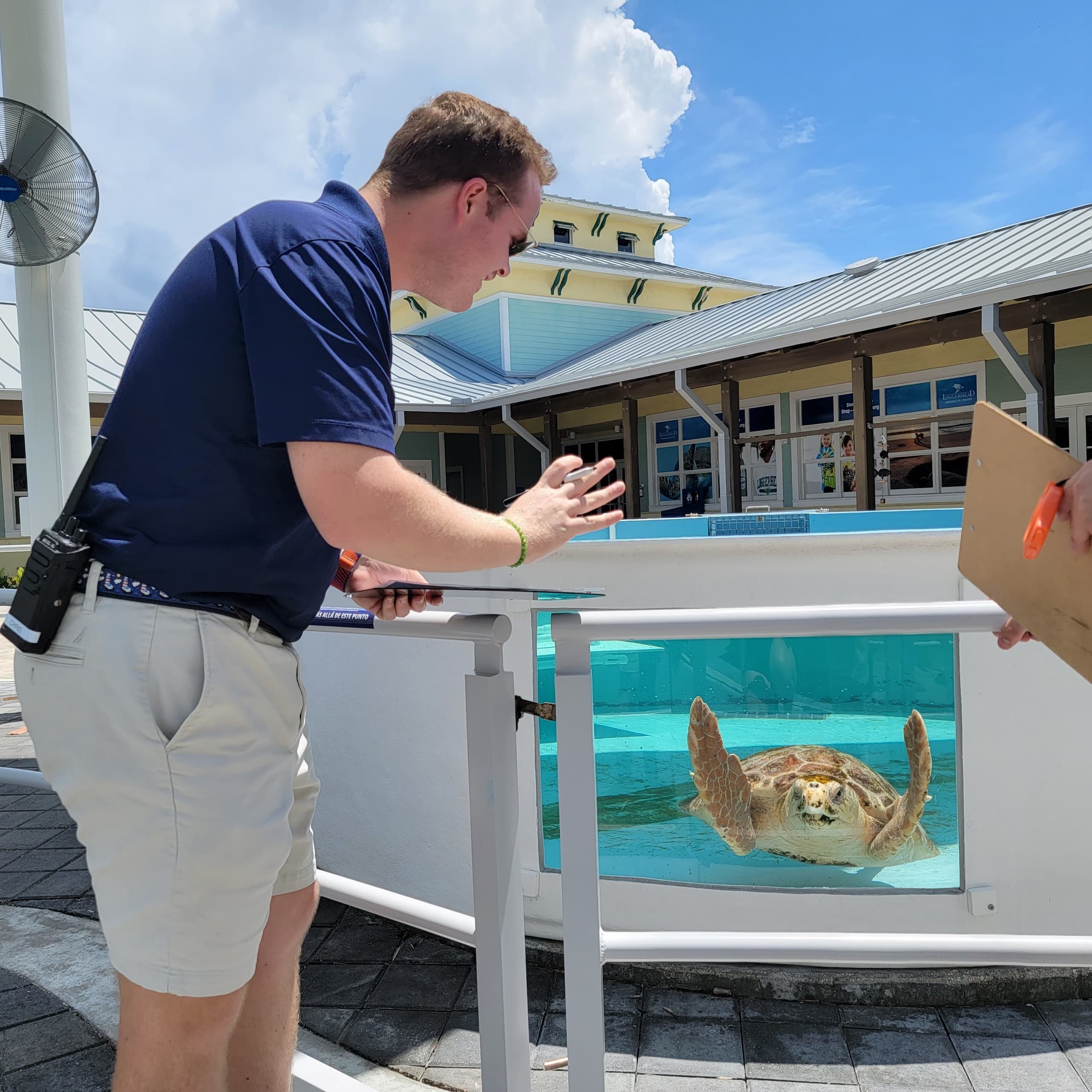 Hands-On Coastal Science at Loggerhead Marinelife Center