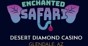 Magical Christmas Light Tour in Phoenix, Arizona