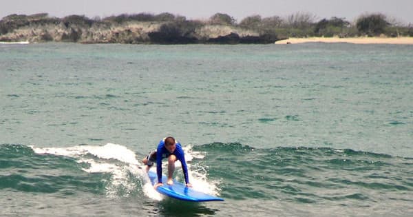 Surf Sessions in Haleiwa with Hawaii Waves Surf School