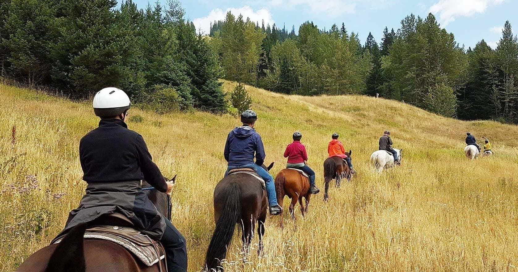 Sun Peaks Stables fleet