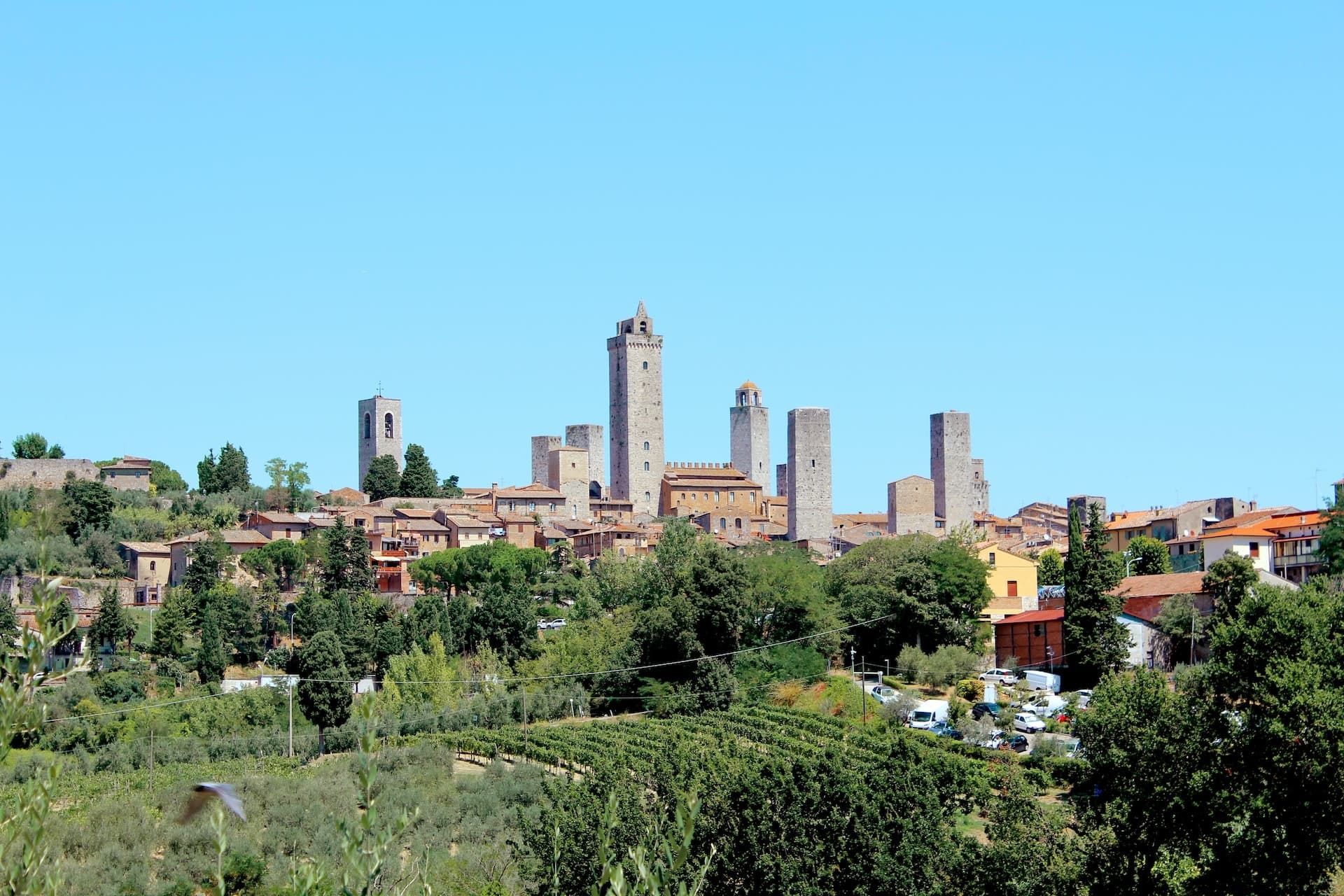 Cultural Day Tour in Siena with Discovery Guided Tours