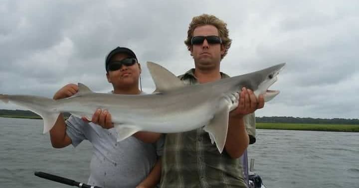 Inshore Shark Fishing with Hilton Head Island Tours