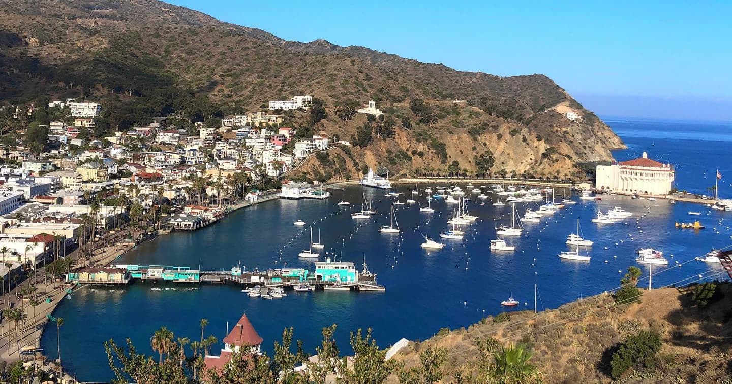 Avalon harbor aerial view showcasing waterfront and hills