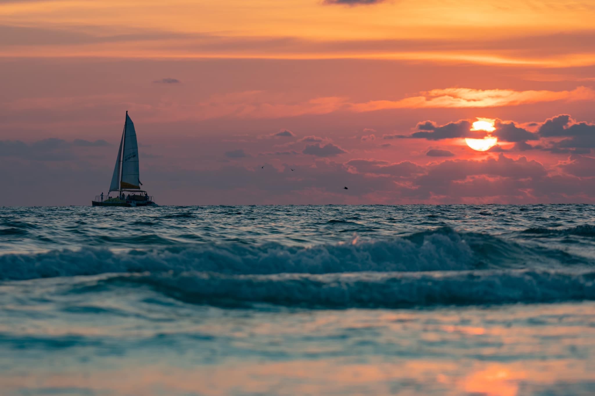 Sunset Dolphin Sail Aboard the Lazy Daze Catamaran in Panama City Beach