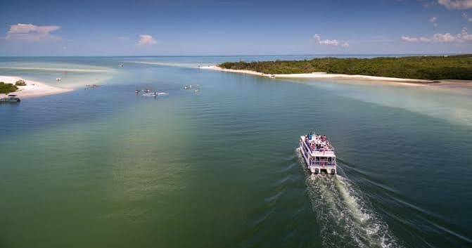 Explore Naples’ Cocohatchee River: 5-Hour Kayak and Paddleboard Adventure