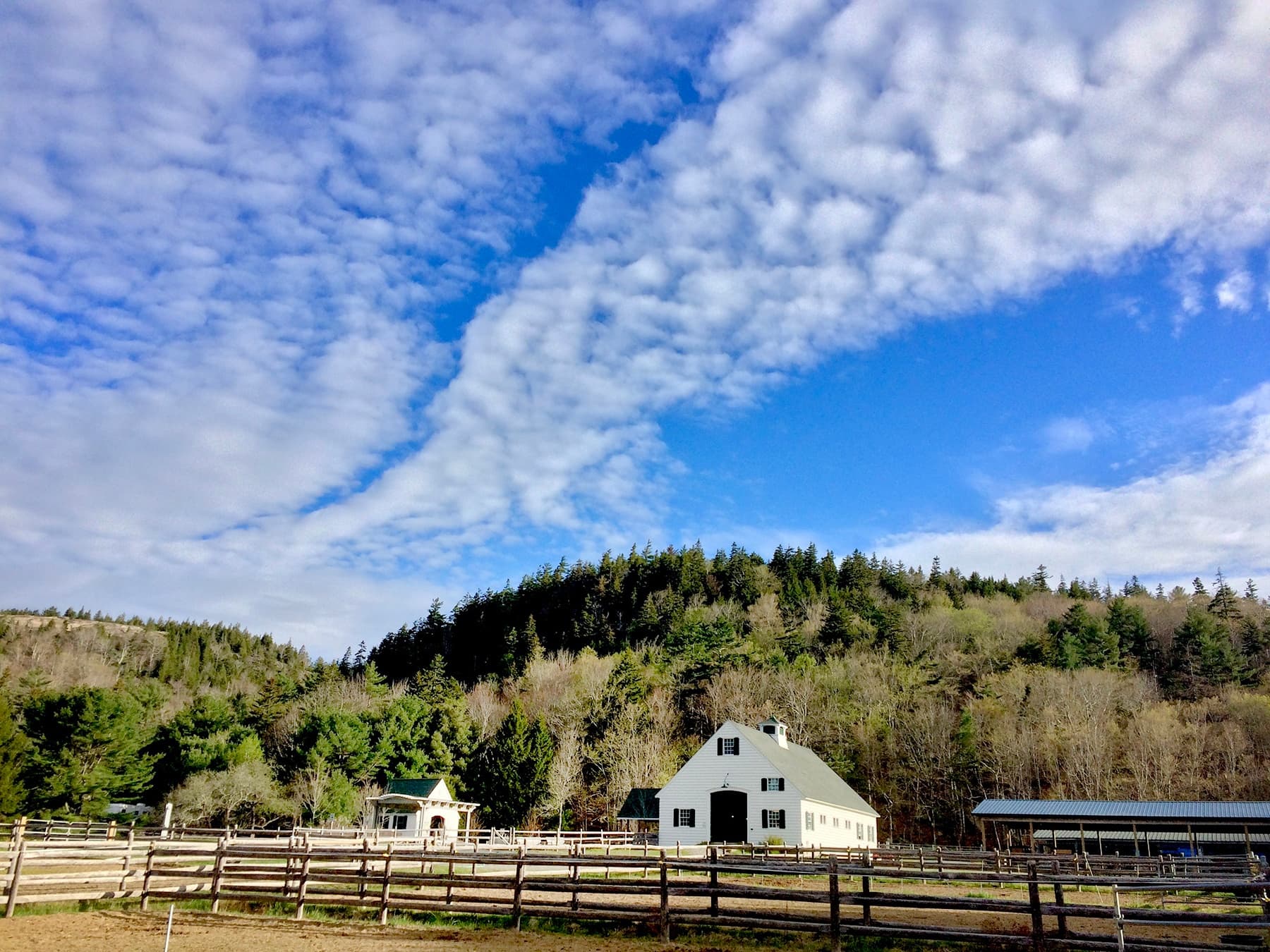 Horse Stalls and Campsites: 9-Night Adventure in Bar Harbor