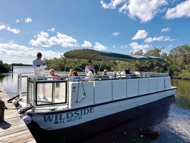 Wildside pontoon boat tour docked in mangrove river with blue sky