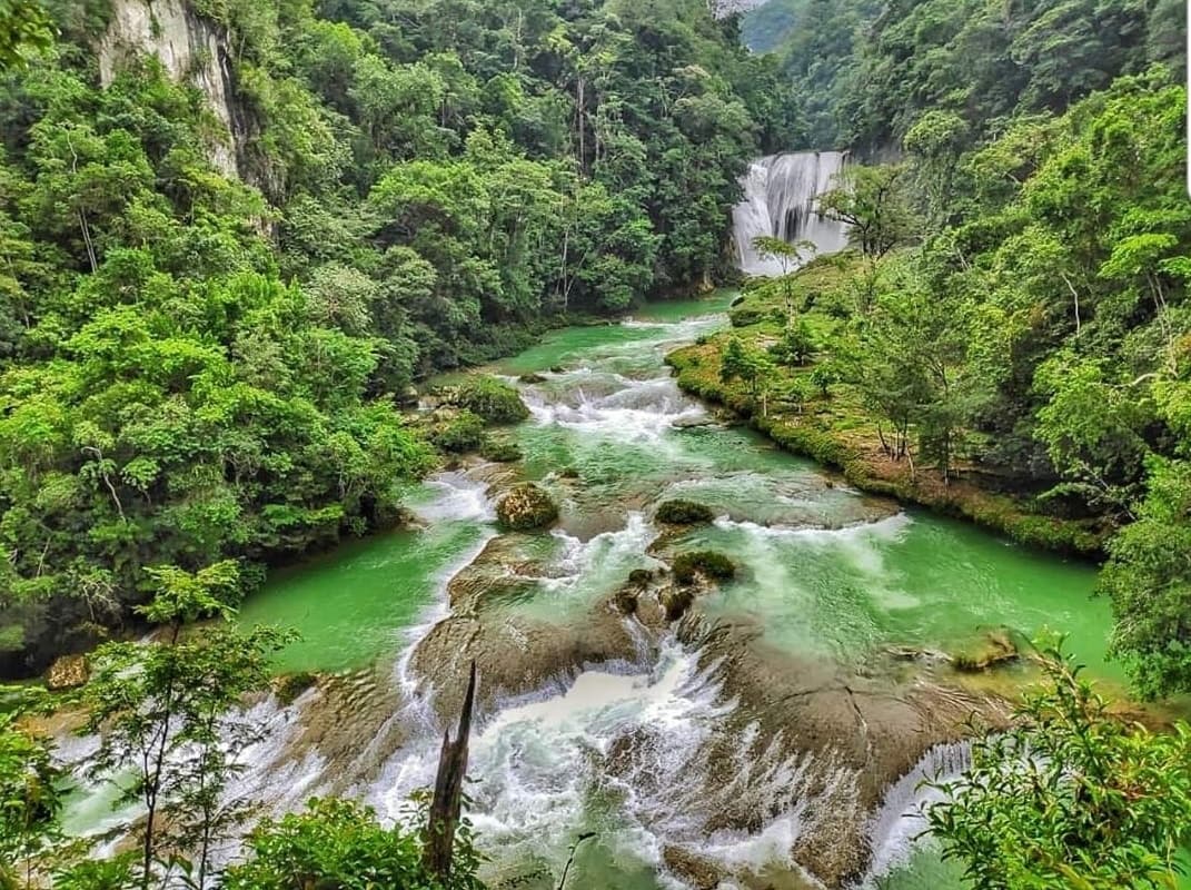 Waterfalls & Jungle Tours with EcoExperiencias in Palenque