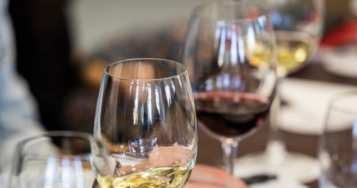 Wine Tasting & Vineyard Tour at Cartaxo Winery