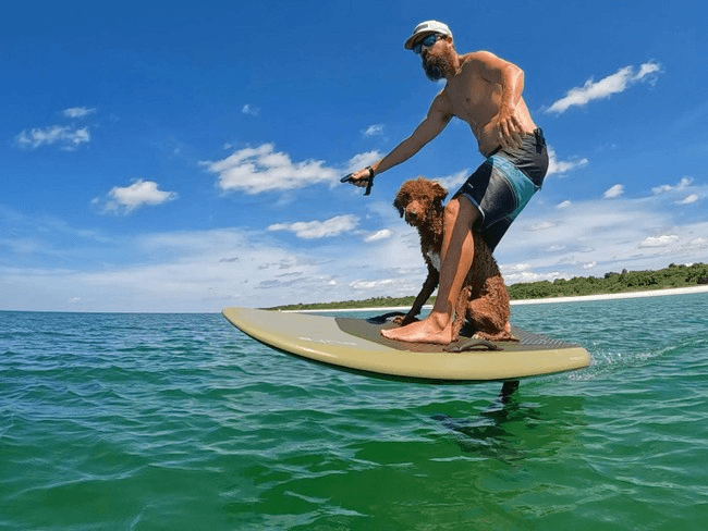 Man balancing on e-foil with dog in turquoise coastal waters