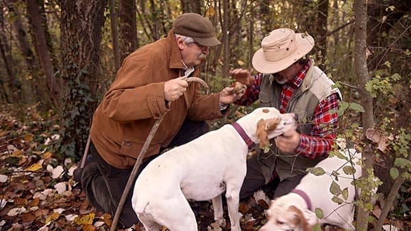 Tuscan Truffle Hunting & Cooking with Under The Tuscan Sun
