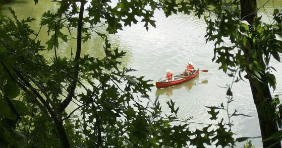 Paddlers in red canoe seen through riverside trees on water