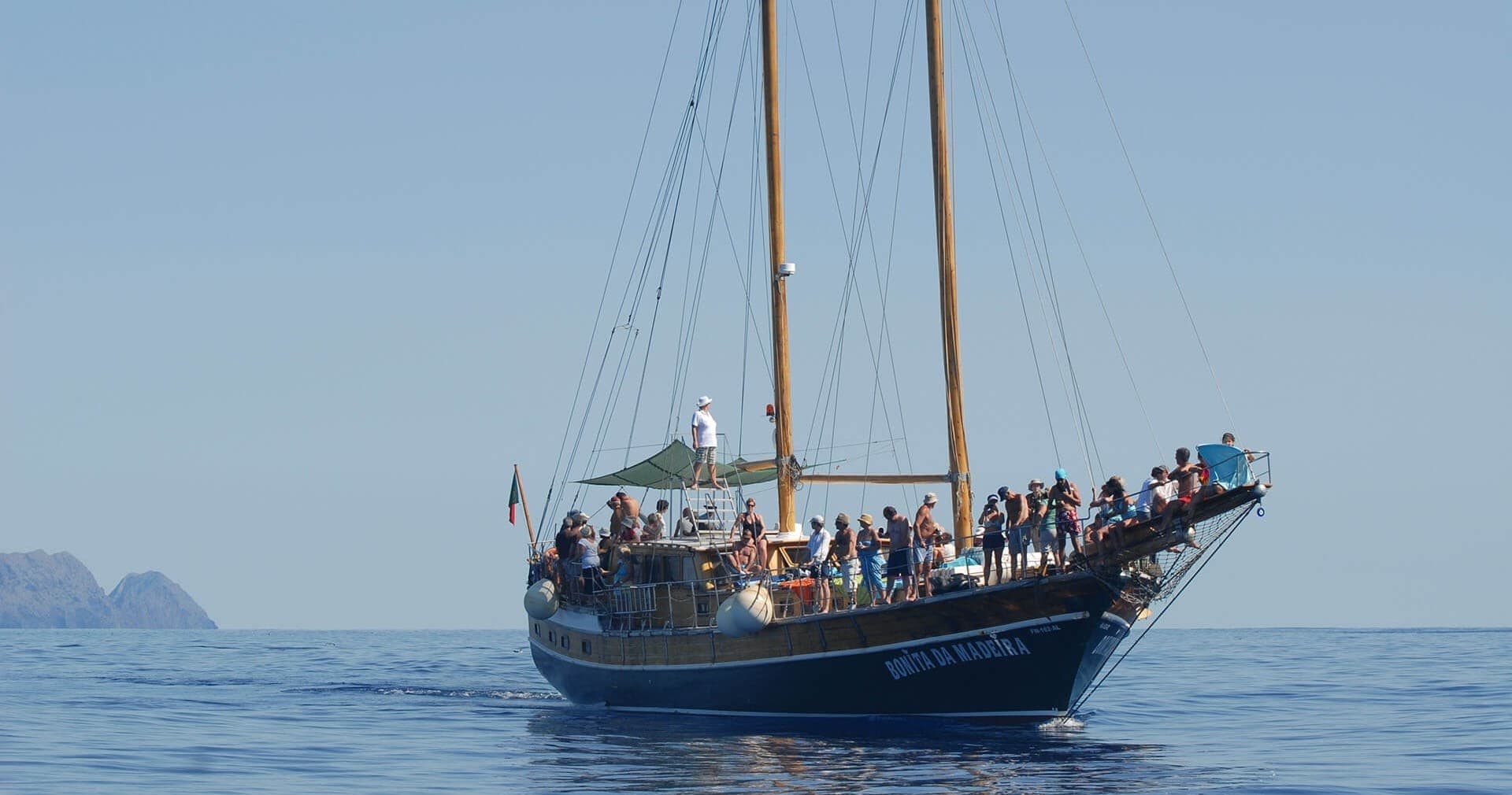 Nature Cruise in Madeira with Madeira Happy Tours