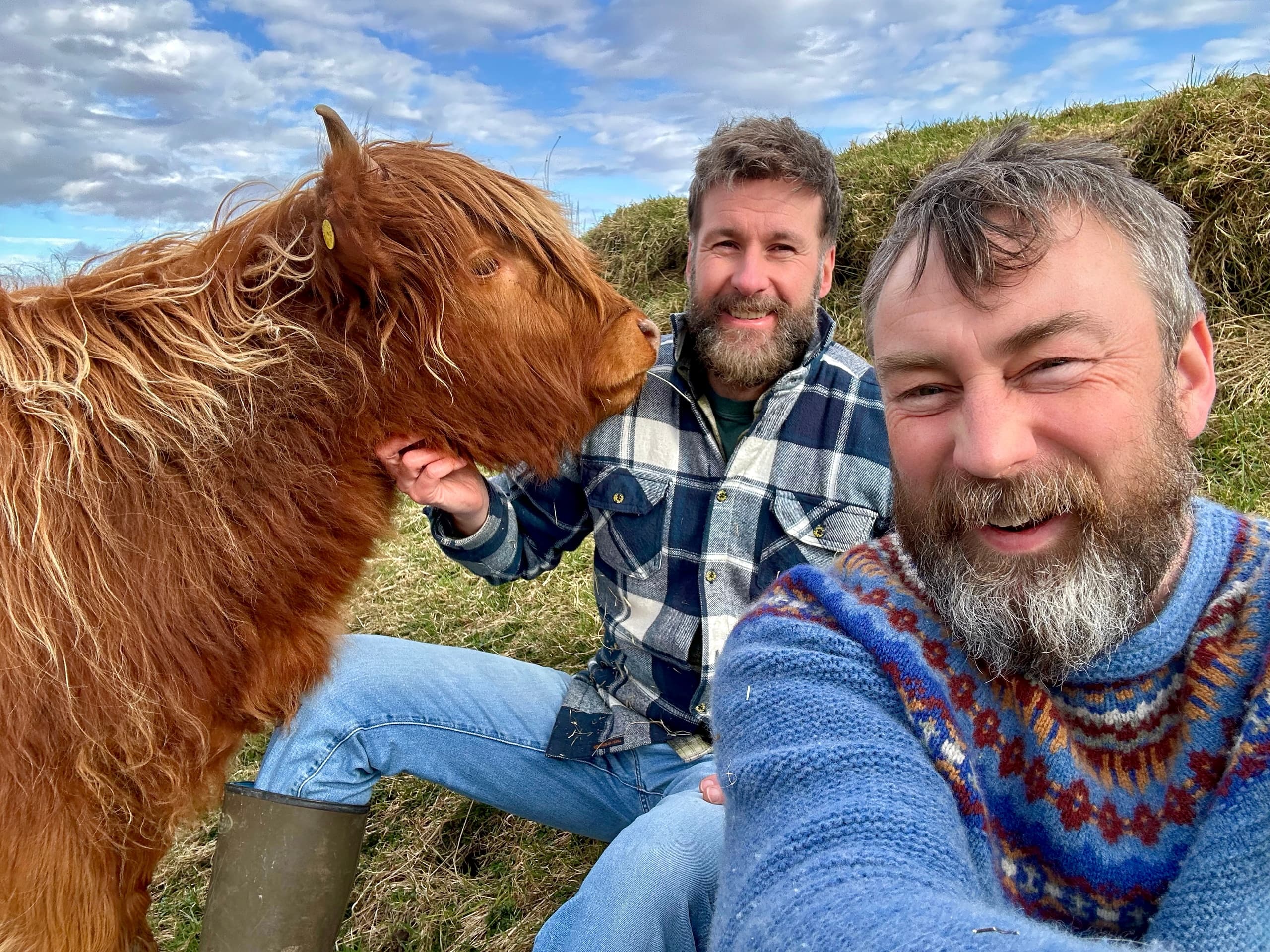 Feed Highland Cows and Hill Walk with the Hebridean Baker in Oban