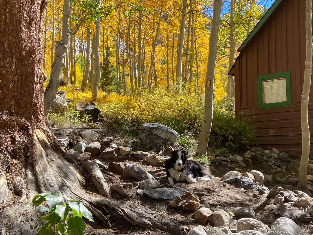 Cadillac Ride-In Base Camps: Multi-Day Eastern Sierra Trips from Bishop