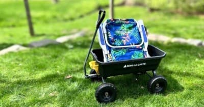 Beach Cart Rentals Make Lakeside Days Easy with Weekends Harbor Country