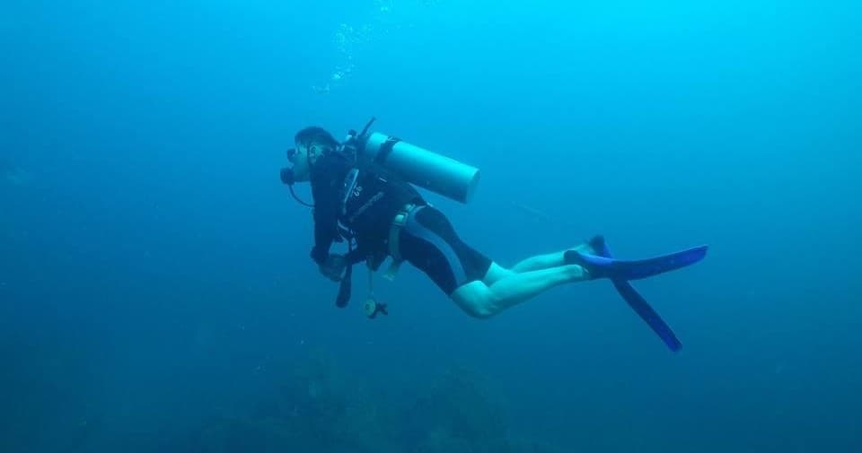 Water Activities with Niuhi Dive Charters in Hawaii