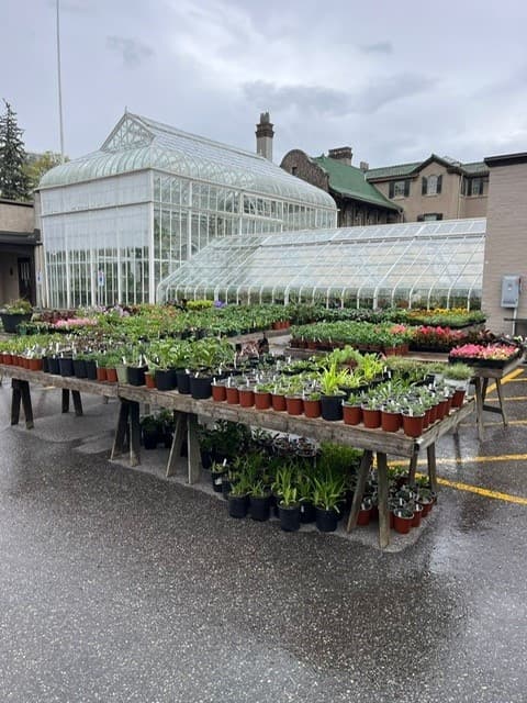 Parkwood Greenhouse Plant Sale: Oshawa Spring Plants & Succulents (May 23)