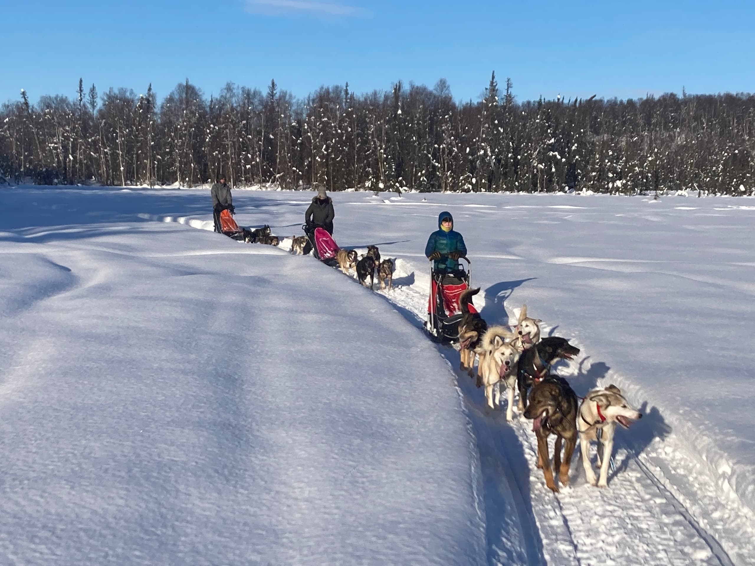 Winter Sled Dog Adventure with Rock On Racing in Talkeetna