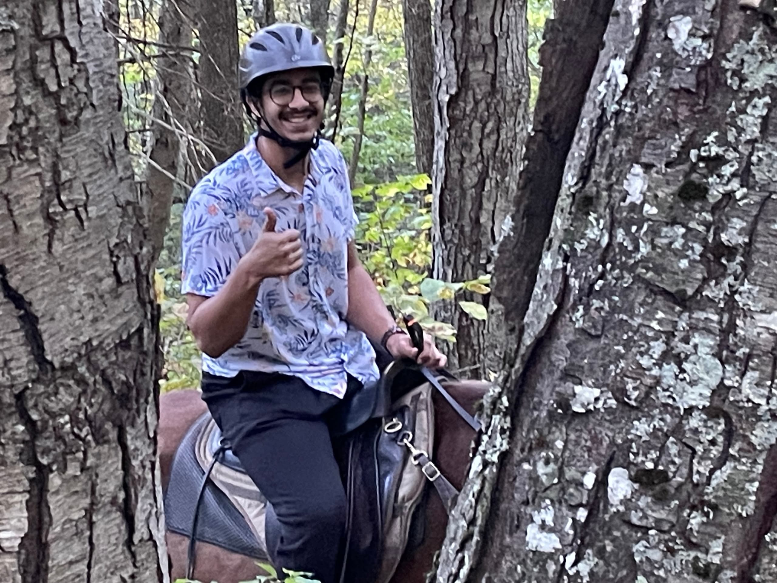 Explore the Blue Ridge: Three Hour Mountain Adventure in Montebello, VA